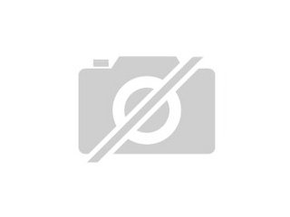 ALKO-Achse gesucht